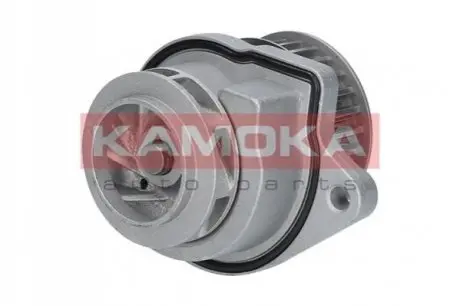 Помпа води KAMOKA T0248 Купить в Украине