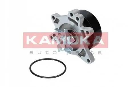 Насос охлаждающей жидкости KAMOKA T0263