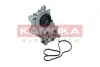 Фото Помпа води Skoda Fabia/Octavia/VW Caddy/Golf/Passat/Seat 1.0/1.2/1.4TSI/1.6 12- (B/B) (6 лоп) KAMOKA (T0286) зображення 1
