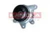 Фото Помпа води Renault Trafic/Scenic/Megane/Opel Vivaro/Nissan Qashqai/X-Trail/MB Vito (W447) 1.6D 11 KAMOKA (T0297) зображення 2