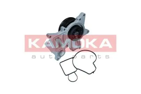 Фото Помпа води BMW 5 (F10/F11)/7 (F01-04)/X5 (E70)/X6 (E71/E72) 2.0d-3.0d 09- (B/B) (6 лоп) (7 кан) M57/N57 KAMOKA (T0298) зображення 1