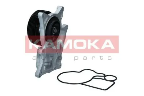 Помпа води BMW 3 (F30/F80/F34)/4 (F36/F33/F83)/5 (F10/F07/F11) 3.0D 10- (N57) KAMOKA T0300 Купити в Україні