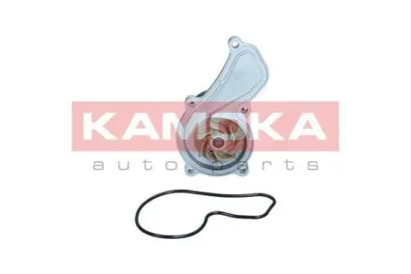 Водяний насос KAMOKA T0305 Купити в Україні