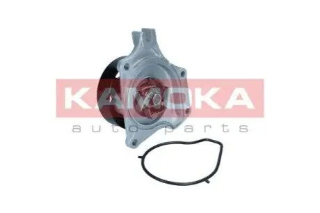 Помпа води KAMOKA T0307 Купить в Украине