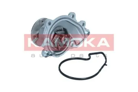 Помпа води KAMOKA T0312 Купити в Україні