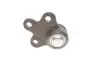 Фото Опора кульова (передня/знизу) Chevrolet Aveo 11-/Trax/Opel Mokka 12- (d=18.5mm) KAPIMSAN (05-04407) зображення 2