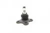 Фото Опора кульова (передня/знизу/L) Audi A1 10-/Seat Ibiza 02-15/Skoda Fabia 99-14/Rapid 12-/VW Polo 01 KAPIMSAN (2306222) зображення 2
