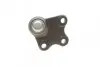 Фото Опора кульова (передня/знизу/L) Audi A1 10-/Seat Ibiza 02-15/Skoda Fabia 99-14/Rapid 12-/VW Polo 01 KAPIMSAN (2306222) зображення 3