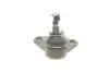Фото Опора кульова (передня/знизу/R) Audi A1 10-/Seat Ibiza 02-15/Skoda Fabia 99-14/Rapid 12-/VW Polo 01 KAPIMSAN (2306223) зображення 2