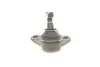 Фото Опора кульова (передня/знизу/R) Audi A1 10-/Seat Ibiza 02-15/Skoda Fabia 99-14/Rapid 12-/VW Polo 01 KAPIMSAN (2306223) зображення 4