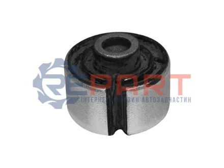 KAUTEK-TEKNOROT BMW С/блок заднього важеля E53 X5 00 Kautek BM-BS062 Купити в Україні