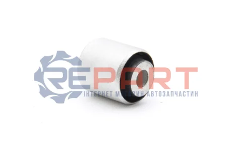 KAUTEK-TEKNOROT BMW С/блок важеля задн.менший 3 F30 Kautek BM-BS110 Купити в Україні