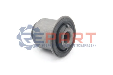 KAUTEK-TEKNOROT RENAULT С/блок переднього важеля Duster 10 Kautek DC-BS001 Купити в Україні