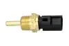 Фото Датчик температури охолоджуючої рідини Mitsubishi Colt/Outlander/Pagero IV 88- (3/8x19) чорний KAVO (ECT-1502) зображення 1