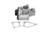 Клапан EGR Renault Trafic 2.0dCi 06- EEG-6501