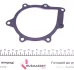 Фото Помпа води Citroen Jumper/Peugeot Expert 2.0 BlueHDi 15 KAVO (MW-4446) зображення 5