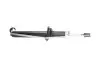 Фото PARTS FIAT Амортизатор газ.передн.лев./прав.Alfa Romeo 156 97- KAVO (SSA-10007) изображение 2