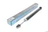 PARTS FIAT амортизатор газ.задн.лев./прав.Linea 07- (348034) KAVO (SSA-10113) изображение 2