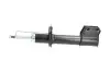 PARTS FIAT Амортизатор масл.передн.лев./прав.Fiorino 94- (631601/633873) KAVO (SSA10117) изображение 4