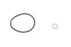 Фільтр масляний BMW 1 (F21)/3(F30/F80)/5(F10)/7(G11/G12) 12- (B37/B38/B47/B48) KAVO (TO155) зображення 2