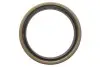 Підшипник маточини (передньої) Mazda 323 -91 (38x63x17) (к-кт) KAVO (WBK-4501) зображення 4