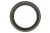 Підшипник маточини (передньої) Mazda 323 -91 (38x63x17) (к-кт) KAVO (WBK-4501) зображення 5