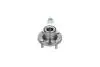 Фото PARTS MITSUBISHI маточина задня Carisma 95-, Lancer 92 KAVO (WBK-5531) зображення 3