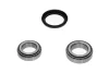 Фото PARTS SSANGYONG К-кт колісних підшипників KORANDO (KJ) 2.3 99-06, DAEWOO KAVO (WBK-7501) зображення 3