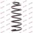 Пружина амортизатора RG1646