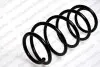 Пружина 10450