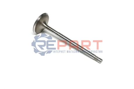 Впускний клапан (33,2x6x102,4) AUDI A3, Q7, TT PORSCHE CAYENNE SKODA SUPERB II VW CC B7, EOS, GOLF IV, GOLF V, MULTIVAN T5, PASSAT B6, PASSAT B7, PHAETON, TOUAREG 3.2/3.6 04.02-03.18 KOLBENSCHMIDT 331127 Купити в Україні