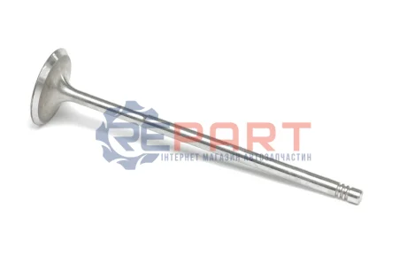 Впускний клапан (33,2x6x136,3) AUDI A3, Q7, TT PORSCHE CAYENNE SKODA SUPERB II VW CC B7, EOS, GOLF IV, GOLF V, MULTIVAN T5, PASSAT B6, PASSAT B7, PHAETON, TOUAREG 3.2/3.6 04.02-03.18 KOLBENSCHMIDT 331128 Купити в Україні
