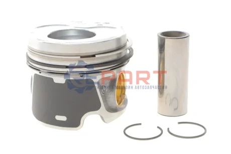 Поршень 81,01 (STD) AUDI A3, A4 B7 SEAT ALHAMBRA, ALTEA, ALTEA XL, LEON, TOLEDO III SKODA OCTAVIA II, SUPERB I, SUPERB II VW CADDY III, EOS, GOLF PLUS V, GOLF V, JETTA III 2.0D 12.03-05.11 KOLBENSCHMIDT 40408600 Купити в Україні