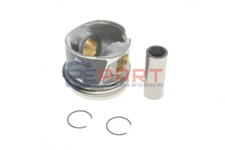 Поршень 81,51 (+0,50) AUDI A3, A4 B7 SEAT ALHAMBRA, ALTEA, ALTEA XL, LEON, TOLEDO III SKODA OCTAVIA II, SUPERB I, SUPERB II VW CADDY III, EOS, GOLF PLUS V, GOLF V, JETTA III 2.0D 12.03-05.11 KOLBENSCHMIDT 40409620 Купити в Україні
