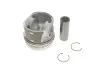 Поршень 79,5 (STD) AUDI A1, A3 SEAT ALTEA, ALTEA XL, IBIZA IV, IBIZA IV SC, IBIZA IV ST, LEON, TOLEDO IV SKODA FABIA II, FABIA II PRAKTIK, OCTAVIA II, RAPID, ROOMSTER 1.2D/1.6D 02.09-09.20 KOLBENSCHMIDT (41095600) зображення 1