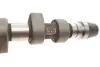 Фото Розподільчий вал ((EN) cast iron) AUDI 80 B4, A4 B5, A6 C4, A6 C5, CABRIOLET B3 FORD GALAXY I, GALAXY MK I SEAT ALHAMBRA, CORDOBA, CORDOBA VARIO, IBIZA II, TOLEDO I 1.9D/1.9DH 08.91-03.10 KOLBENSCHMIDT (50006205) зображення 3