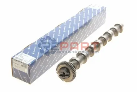 Фото Розподільний вал VW Caddy III/IV/ T5/T6/ Crafter 30-50 2.0 TDI 10- (сторона впуска) KOLBENSCHMIDT (50007020) зображення 1