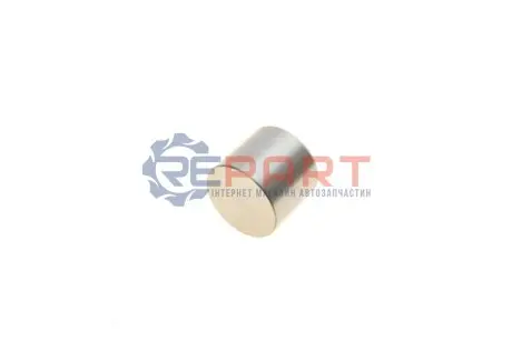 Гідрокомпенсатор Dacia Dokker/Opel Vivaro/Renault Master II 1.5D/1.9D 94- (h=30mm) KOLBENSCHMIDT 50007542 Купити в Україні