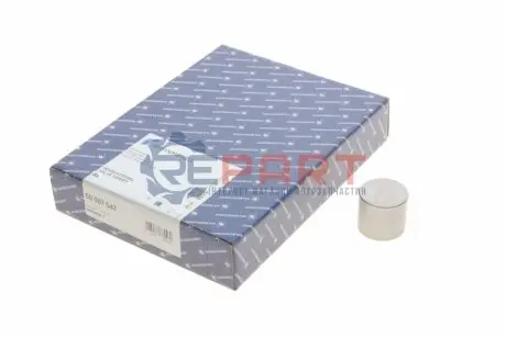 Гідрокомпенсатор Renault Master/Trafic 1.9 dCi 00- KOLBENSCHMIDT 50007547 Купити в Україні