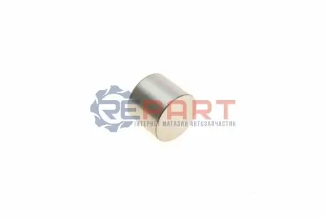 Штовхач клапана. (діаметр: 30/32мм) OPEL ASTRA G, ASTRA G CLASSIC, ASTRA H, ASTRA H CLASSIC, ASTRA H GTC, ASTRA J, ASTRA J GTC, CORSA D, INSIGNIA A, MERIVA A, MOKKA / MOKKA X 1.6-1.8LPG 03.00 KOLBENSCHMIDT 50007551 Купити в Україні