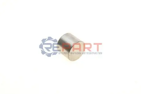 Штовхач клапана. (діаметр: 30/32мм) OPEL ASTRA G, ASTRA G CLASSIC, ASTRA H, ASTRA H CLASSIC, ASTRA H GTC, ASTRA J, ASTRA J GTC, CORSA D, INSIGNIA A, MERIVA A, MOKKA / MOKKA X 1.6-1.8LPG 03.00 KOLBENSCHMIDT 50007554 Купити в Україні