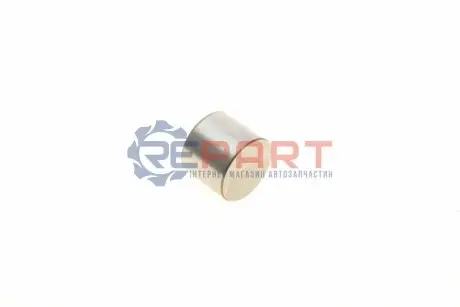 Штовхач клапана. (діаметр: 30/32мм) OPEL ASTRA G, ASTRA G CLASSIC, ASTRA H, ASTRA H CLASSIC, ASTRA H GTC, ASTRA J, ASTRA J GTC, CORSA D, INSIGNIA A, MERIVA A, MOKKA / MOKKA X 1.6-1.8LPG 03.00 KOLBENSCHMIDT 50007558 Купити в Україні
