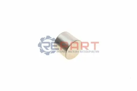 Штовхач клапана. (діаметр: 30/32мм) OPEL ASTRA G, ASTRA G CLASSIC, ASTRA H, ASTRA H CLASSIC, ASTRA H GTC, ASTRA J, ASTRA J GTC, CORSA D, INSIGNIA A, MERIVA A, MOKKA / MOKKA X 1.6-1.8LPG 03.00 KOLBENSCHMIDT 50007559 Купити в Україні
