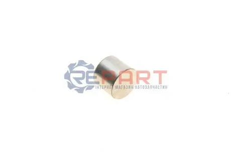 Штовхач клапана. (діаметр: 30/32мм) OPEL ASTRA G, ASTRA G CLASSIC, ASTRA H, ASTRA H CLASSIC, ASTRA H GTC, ASTRA J, ASTRA J GTC, CORSA D, INSIGNIA A, MERIVA A, MOKKA / MOKKA X 1.6-1.8LPG 03.00 KOLBENSCHMIDT 50007562 Купити в Україні