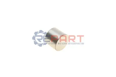 Штовхач клапана. (діаметр: 30/32мм) OPEL ASTRA G, ASTRA G CLASSIC, ASTRA H, ASTRA H CLASSIC, ASTRA H GTC, ASTRA J, ASTRA J GTC, CORSA D, INSIGNIA A, MERIVA A, MOKKA / MOKKA X 1.6-1.8LPG 03.00 KOLBENSCHMIDT 50007566 Купити в Україні