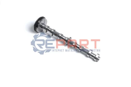 Фото Кулачковий вал KOLBENSCHMIDT (50007673) зображення 1