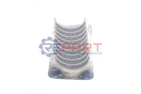 Вкладиші корінні VW T5 1.9TDI (STD) KOLBENSCHMIDT 77553600 Купити в Україні