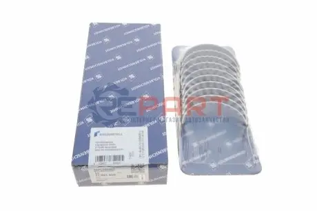 Вкладиші корінні Renault Master/Trafic 2.2-2.5DCI 98- (STD) KOLBENSCHMIDT 77981600 Купити в Україні