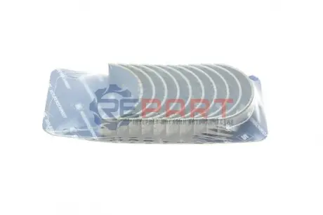 Вкладиші корінні Renault Master/Trafic 2.2-2.5DCI 04- (+0.50) KOLBENSCHMIDT 77981620 Купити в Україні