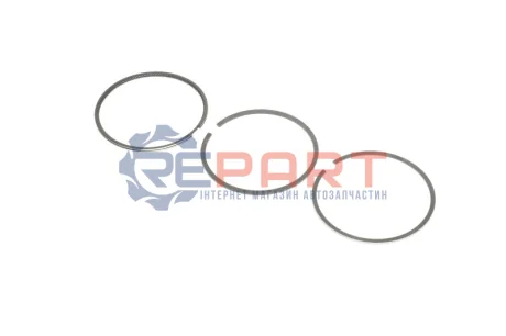 Комплект поршневих кілець KOLBENSCHMIDT 800016810000 Купити в Україні